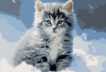 Пушистый котёнок на синем фоне