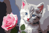 Полосатый котёнок и розовая роза