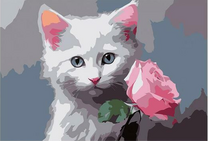 Белый котёнок и розовая роза