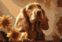 Преданный рыжий пёсик