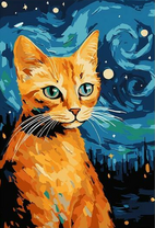 Рыжий котик и звёздная ночь