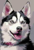 Счастливый хаски