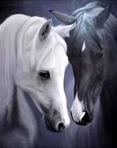 Чёрный и белый кони