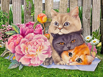 Три кота и пионы у забора