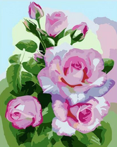 Пышные садовые розы