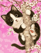 Чёрно-белый котёнок на цветущей ветви