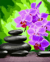 Орхидеи и чёрные камни