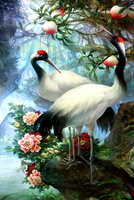 Картина по номерам Номерашка (Paintboy) «Коробка 25 шт. картин по номерам BOX25-GX29399»