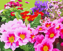 Яркие красочные цветочки