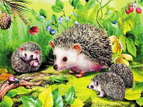 Семейство ежей и земляника