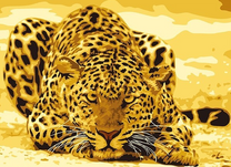 Леопард готовится к прыжку