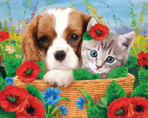 Милый щенок и котёнок в цветах
