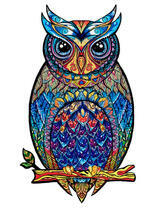 Красивая сова на веточке