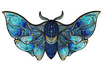 Бабочка с красивым узором