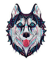 Весёлый хаски