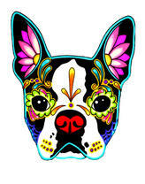 Французский бульдог в ярких цветочках