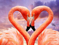 Фламинго изображают сердечко на фоне солнца