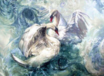 Танец красивых белых лебедей