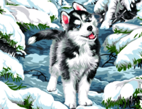 Молодой хаски в зимнем лесу