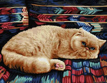 Пушистый котик на диване