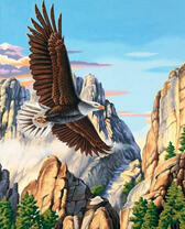 Полёт орла над высокими горами