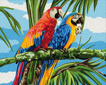Цветные попугаи на ветке