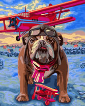 Бульдог и красный самолет