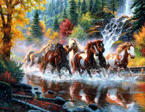 Стадо диких лошадей на реке