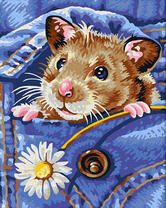 Хомячок с ромашкой в кармане