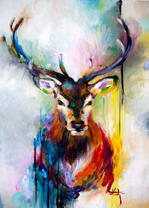 Красивый олень с большими рогами