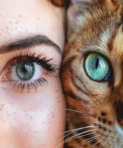 Девушка и рыжая кошка