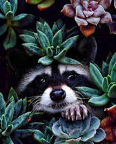 Енот среди цветов