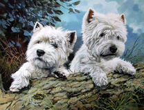 Две болонки на бревне