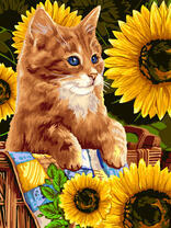 Котенок в корзинке и подсолнухи