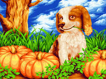 Щенок и тыквы