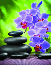 Черные гладкие камни и орхидея