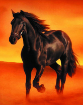 Черная лошадка в оранжевой мгле