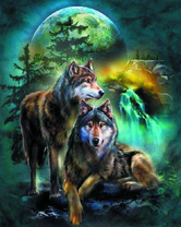 Два волка в ночном лесу