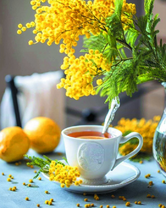 Яркая мимоза и чай с лимоном