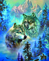 Стая волков в горном заснеженном лесу