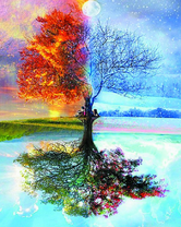 Четыре времени года на дереве