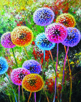 Яркие разноцветные одуванчики