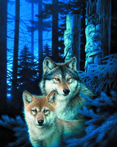 Серые волки в ночном лесу
