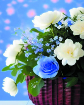 Корзина с белыми пионами и голубой розой