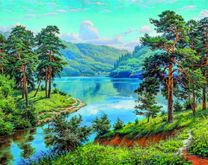 Летний пейзаж з сосновыми лесами у реки