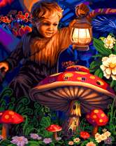 Мальчик в сказочной стране грибов