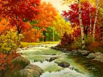 Бурная река в красивом осеннем лесу