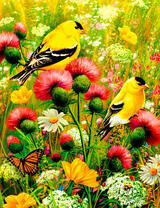 Желтые птицы в цветах
