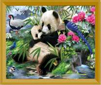 Панда с медвежонком у озера