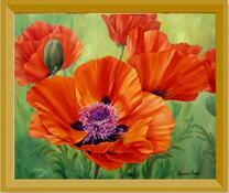 Изящные маки